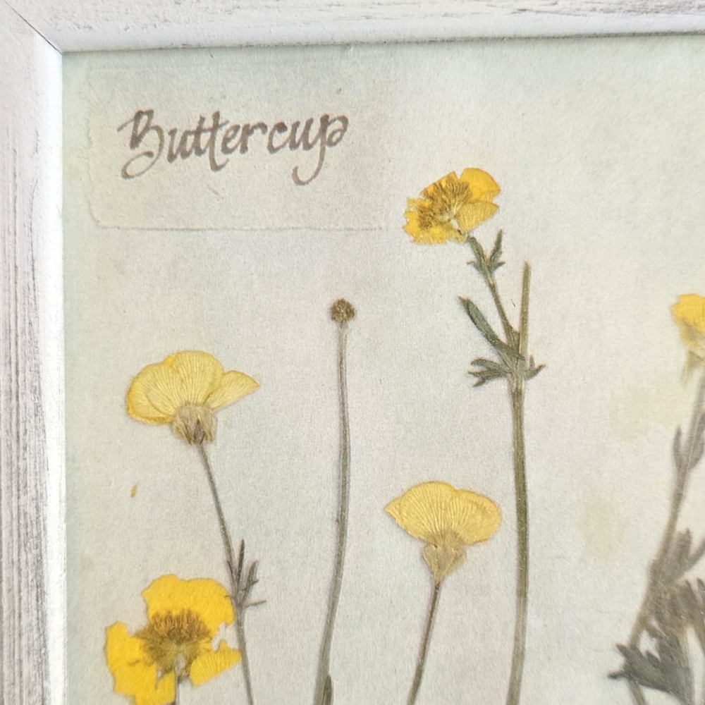 Vintage French framed Buttercup Flower Art - Picture 3 of 7